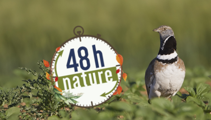 Les 30 septembre et 1er octobre, vivez les 48h Nature !